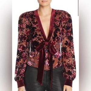 Ronny Kobo Nikki Velvet Floral Burnout V Neck Blouse
